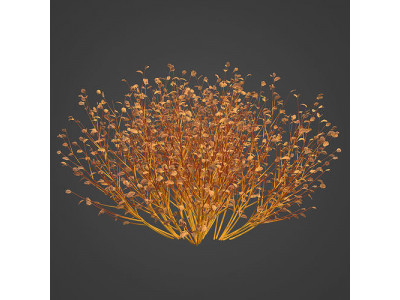 2021 PBR Bloodtwig Dogwood Collection - Cornus Sanguinea 3D model