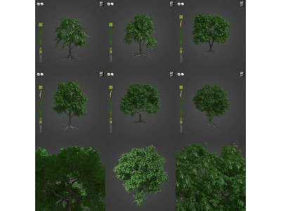 2021 PBR Breadfruit Tree Collection - Artocarpus Altilis  3D model