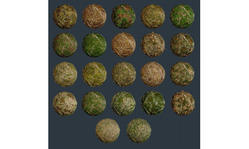 22 Ground Forrest Seamless PBR Texture Pack Texture