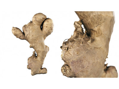 4K Scanned Ginger 3D model