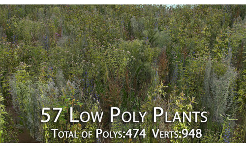 57 Low Poly Plants Low-poly 3D model