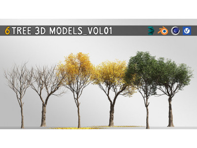 6 tree 3d models  3D model