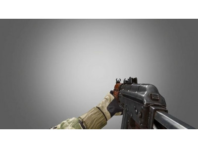 aks74 Fps hands all anim 3D model