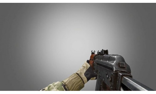 aks74 Fps hands all anim 3D model