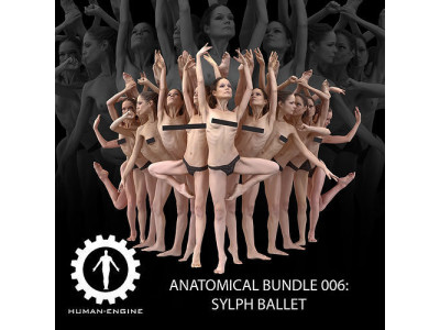 Anatomical Bundle 006 Sylph Ballet 3D model