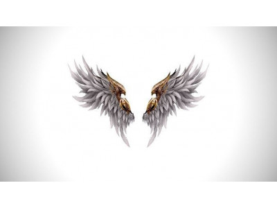 Angel Wings - 5 Variants Low-poly 3D model