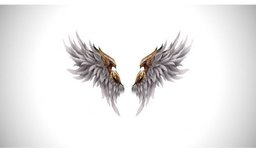 Angel Wings - 5 Variants Low-poly 3D model