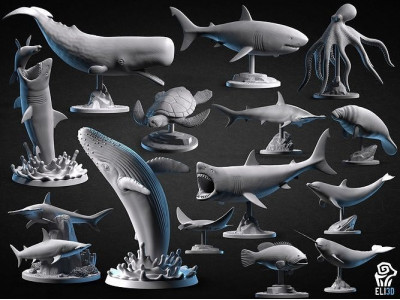 Animals - Ocean Wildlife 3D print model