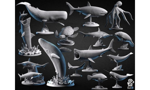 Animals - Ocean Wildlife 3D print model