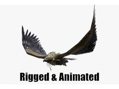 low-poly animated eagle with necklace Low-poly 3D model