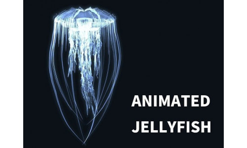 animated jellyfish Low-poly 3D model