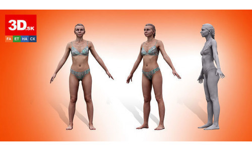 Arina Shy Cleaned A Pose Underwear 3D model