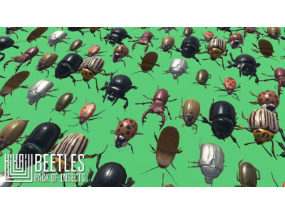 Beetles - pack of insects Low-poly 3D model