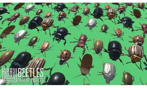 Beetles - pack of insects Low-poly 3D model