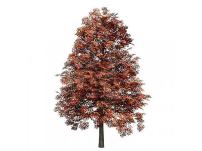 Black Gum Fall Low-poly 3D model