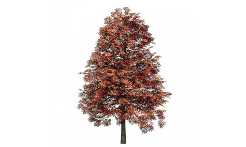 Black Gum Fall Low-poly 3D model