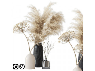 Bouquet with dry composition 3D model