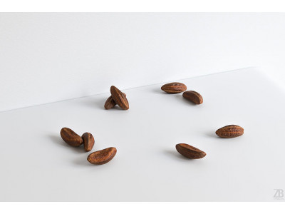 Brazil Nut 004 3D model