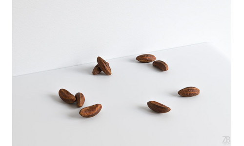 Brazil Nut 004 3D model