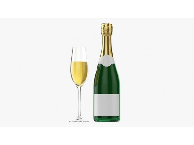 Champagne bottle with flute glass 3D model