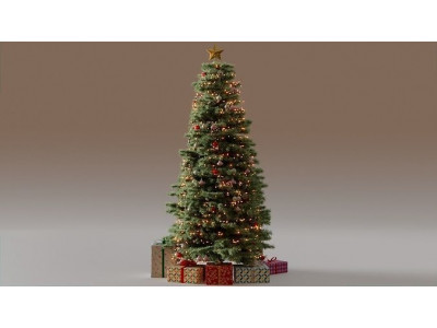 Christmas Tree 3d Model 3D model