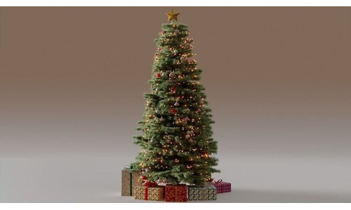 Christmas Tree 3d Model 3D model