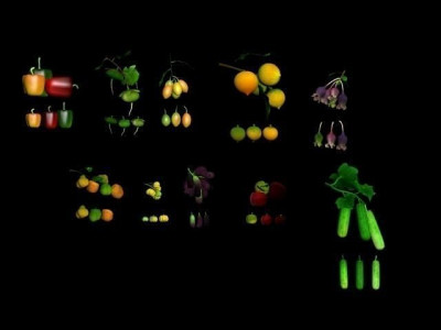 Collection Fruit Path7 Low-poly 3D model