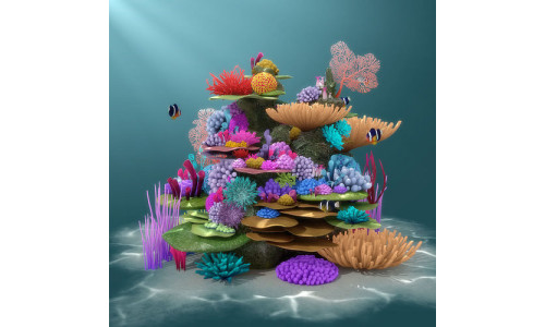 Coral Reef 3D model