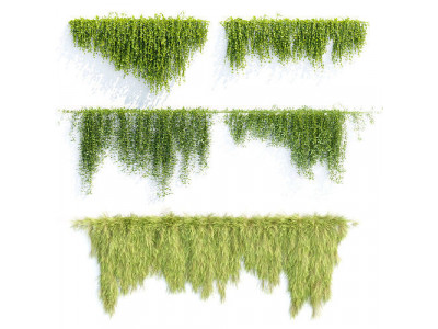 Creeper plants for wall collection vol 144 3D model
