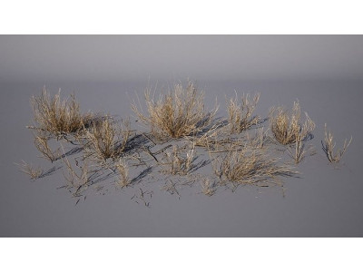 Dead grass 3D model