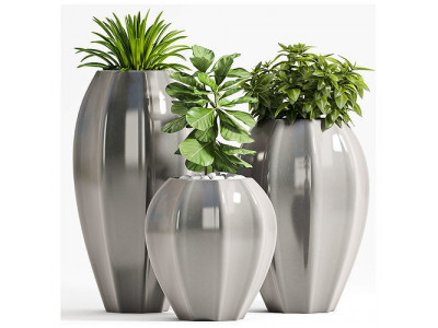 Decorative plant set-64 3D model