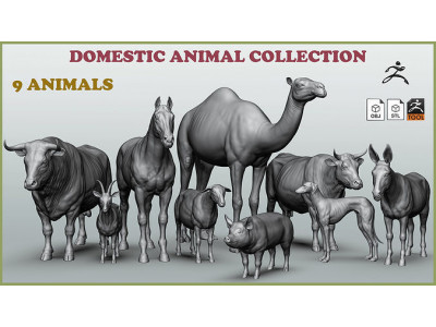Domestic animal collection 3D model