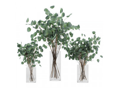 Eucalyptus Bouquet Set1 3D model