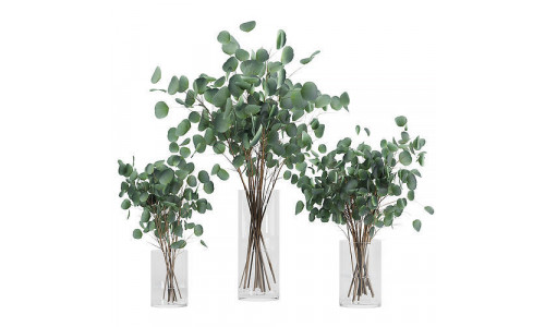 Eucalyptus Bouquet Set1 3D model