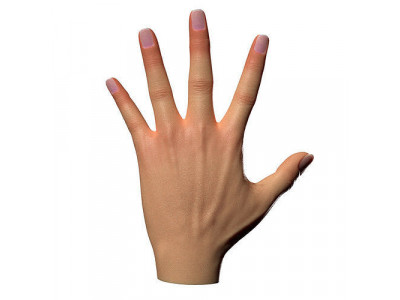 Female Hand Low-poly 3D model