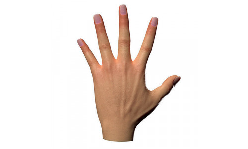 Female Hand Low-poly 3D model