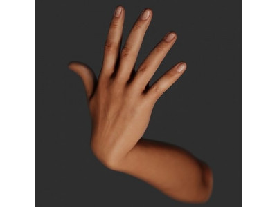 Female Right Hand Rigged 3D model