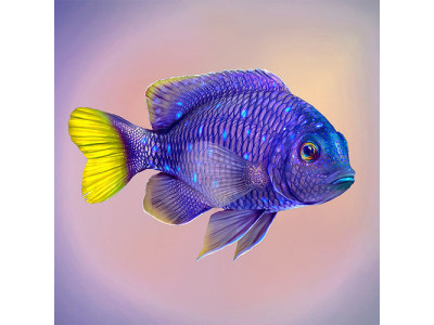 Fish Microspathodon Chrysurus Low-poly 3D model
