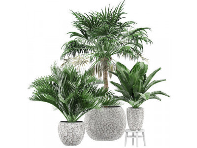 Flower Pack 128 3D model