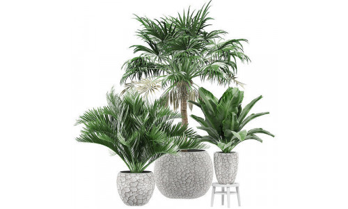 Flower Pack 128 3D model