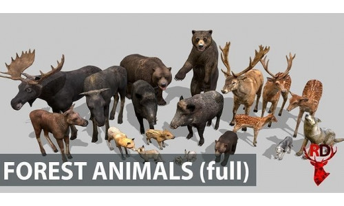 FOREST ANIMALS full version Low-poly 3D model