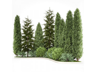 Garden of thuja and cypress trees with bushes 1153 3D model