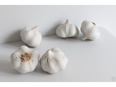 Garlic-001 3D model