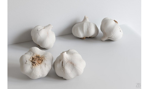Garlic-001 3D model