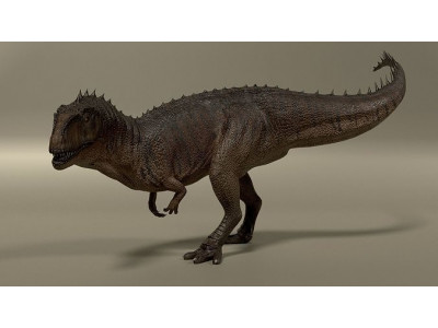 Giganotosaurus Low-poly 3D model