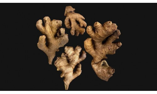 Ginger Low-poly 3D model