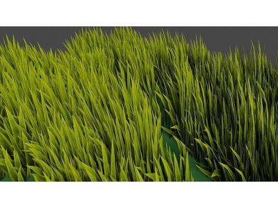Grass Geometry Nodes Blender Low-poly 3D model