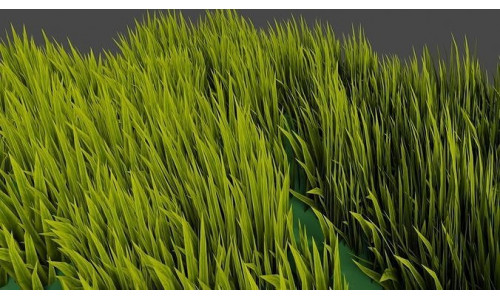 Grass Geometry Nodes Blender Low-poly 3D model