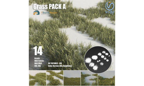 Grass pack A Low-poly 3D model