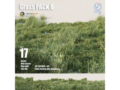 Grass pack B Low-poly 3D model